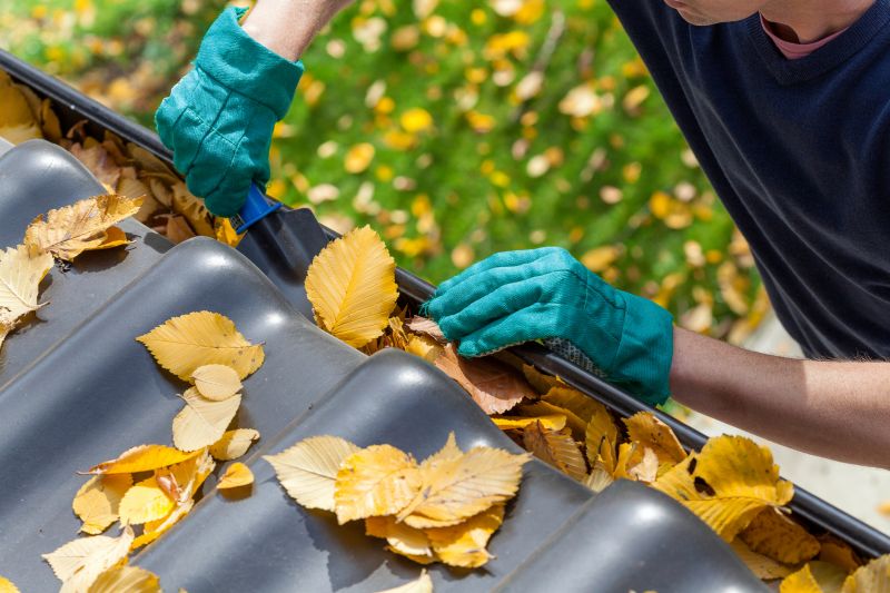 Fall Gutter Clearing