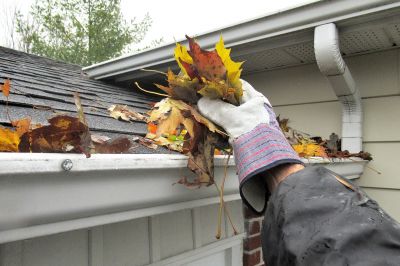 Gutter Maintenance in Fall